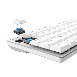 Wireless mechanical keyboard Dareu EK868 Bluetooth (white&blue)