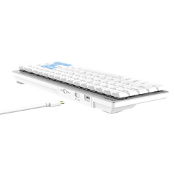 Wireless mechanical keyboard Dareu EK868 Bluetooth (white&blue)