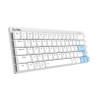 Wireless mechanical keyboard Dareu EK868 Bluetooth (white&blue)