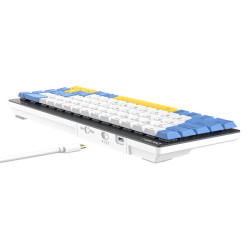 Mechanical keyboard Dareu EK868 Bluetooth (white-blue-yellow)